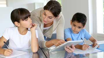 Lazy Owl Image
